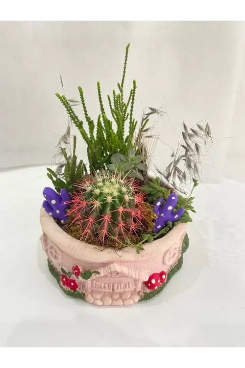 Teraryum Özel Tasarımlar